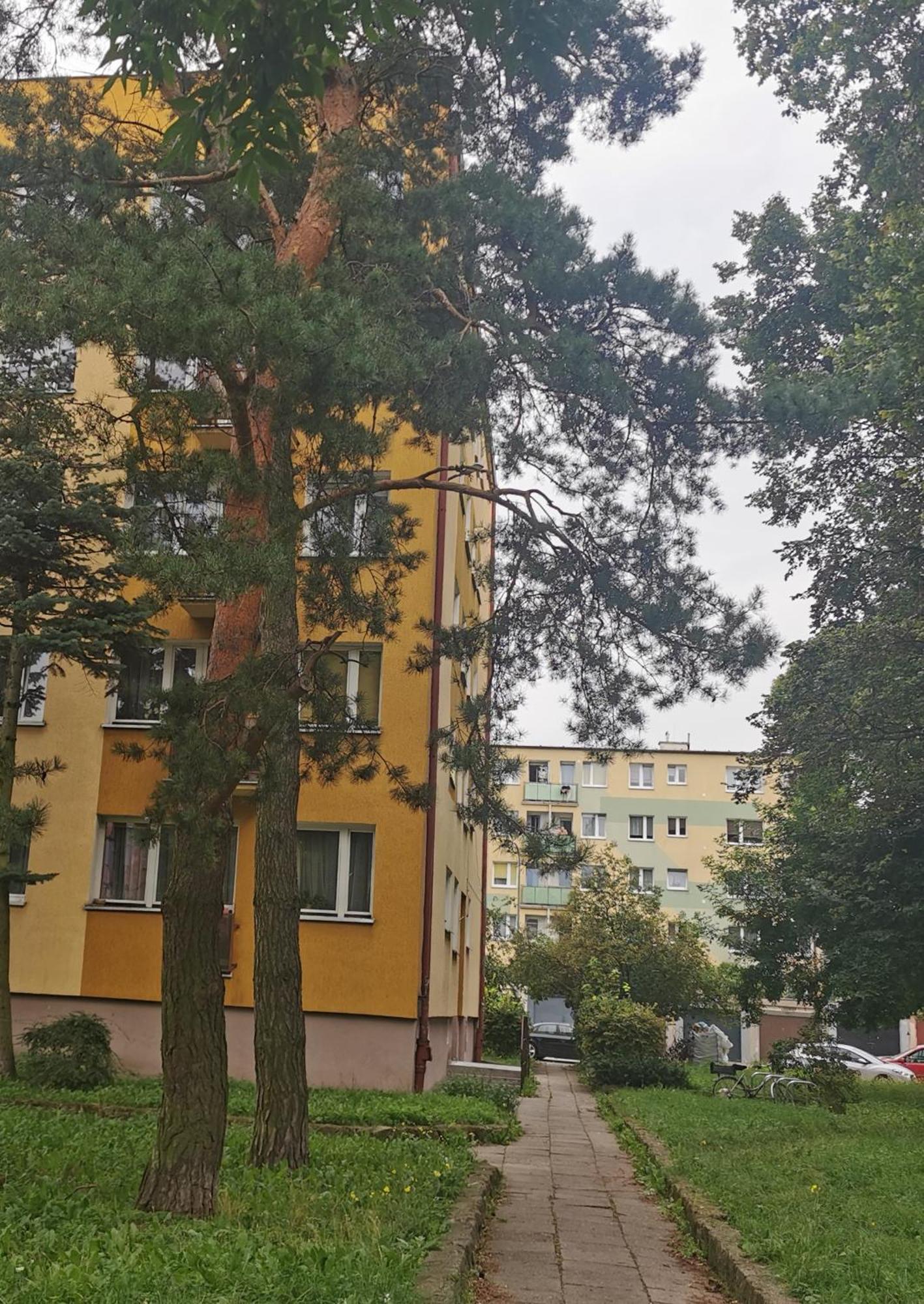 Mieszkanie Brzezno Przy Plazy Gdańsk Eksteriør bilde